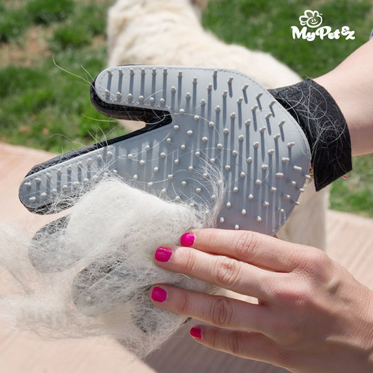 InnovaGoods Glove for Misc Hair Lengths for Coat Grooming Gray