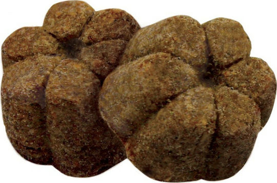 Wellness Core Protein Bites Dog Treat Grain Free with Chicken and Cherry 170gr