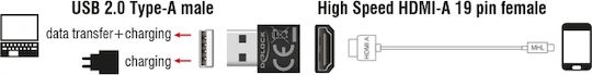 DeLock Μετατροπέας USB-A male σε HDMI female 1τμχ 65680