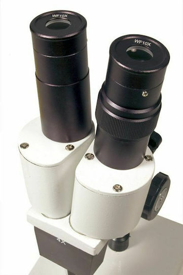 Levenhuk 2ST Stereo Educational Binocular Microscope 40x