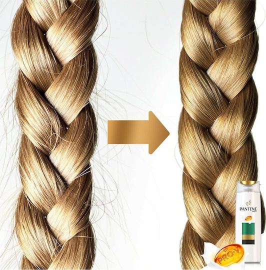 Pantene Pro-V Smooth & Silk Shampoos Reconstruction/Nourishment & Smoothing for Frizzy Hair 360ml