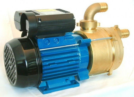Tellarini EEM 35 Single-Phase Transfer Pump with Fluid Inlet Size 1 - 1/4 and Horsepower 1hp