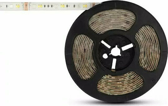 V-TAC Αδιάβροχη Ταινία LED 12V RGBW Φως 5m Τύπου SMD5050 με Τροφοδοτικό & Τηλεχειριστήριο