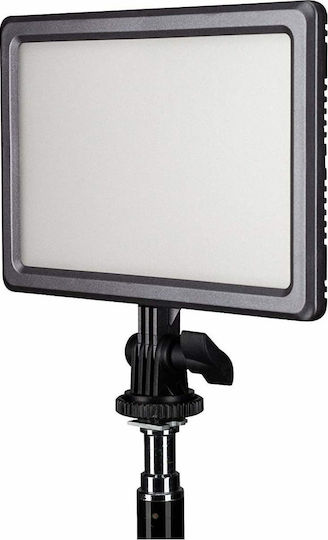 Nanlite Lumipad 11 Video Daylight 3200 - 5600K 11W με Φωτεινότητα 370 Lux