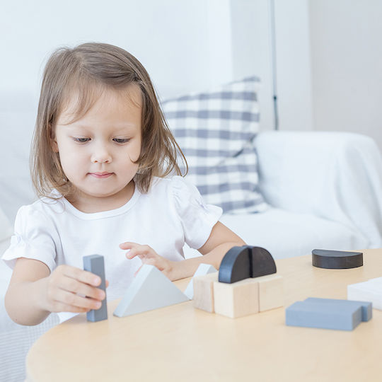 Plan Toys Κλάσματα με Τουβλάκια Εκπαιδευτικό Παιχνίδι Γνώσεων από Ξύλο για 2+ Ετών