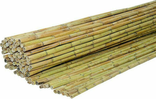 Showood Bamboo Fencing With Whole Reed 1x3m 100300