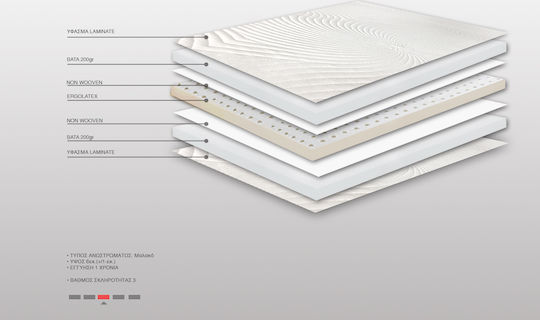 Bs Strom Matratzentopper Ruby Ergolatex Top King Size Latex 180x200x6cm