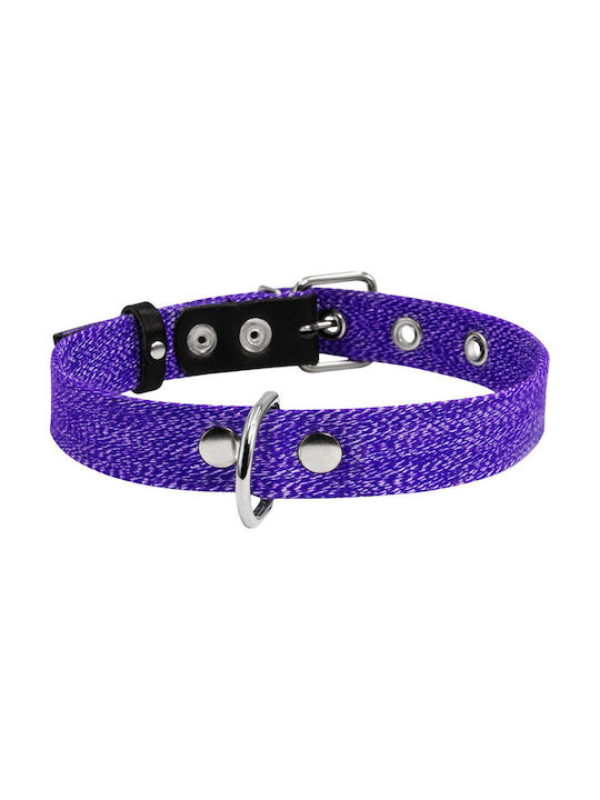 Collar Collar Purple 41-53 cm