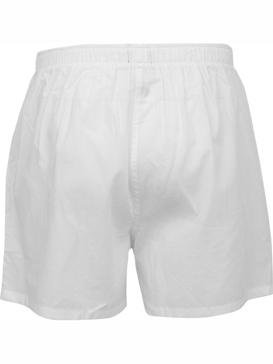 Slipuri pentru bărbați Multicolor 3Pachet