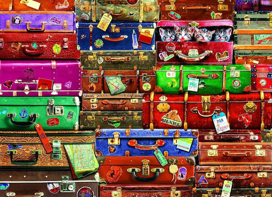 Travel Suitcases Puzzle 2D 1000pcs