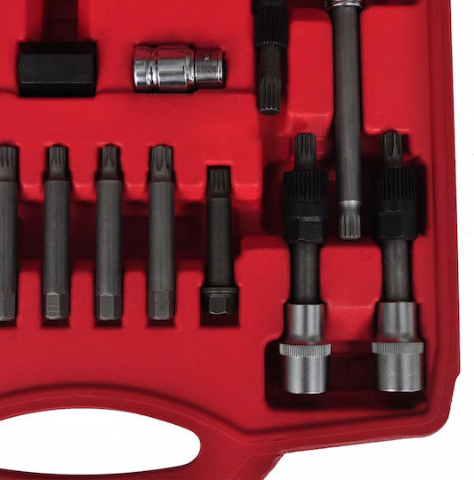 vidaXL Car Alternator Pulley Tool Set 22 Pieces for Mercedes Benz