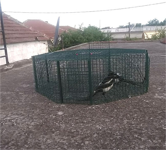 Tycoon Cage made of Metal 100x100x30cm 1pcs