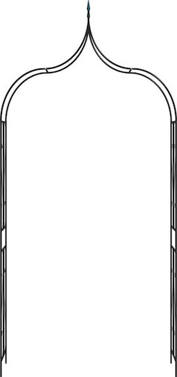Arcadă De Grădină Din Metal Negru 120x38x258cm