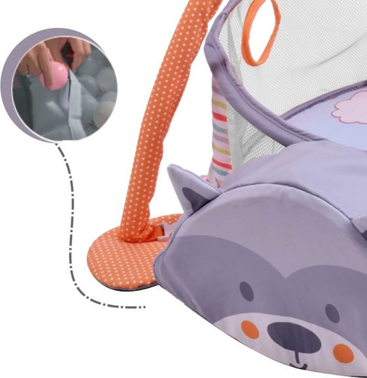 Bebe Stars 3 in 1 Squirrel Activity Gym for Newborns