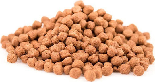 Nutripet Hunter Plus H1+ 20kg Dry Food for Dogs with Calf and Poultry