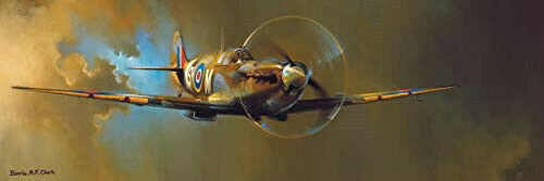 Panoramic Spitfire by Barrie A.F. Clark Puzzle 2D 1000pcs