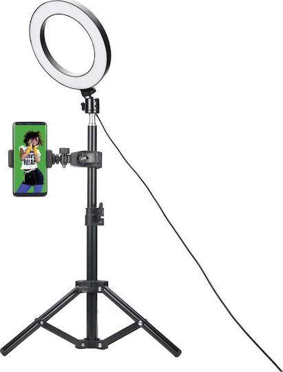 EasyPix MyStudio Studio Kit for Creators Beleuchtungsset für Studio