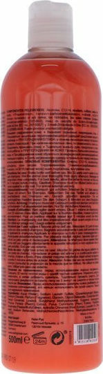 Wahl Professional Pets Showman Dirty Beastie Hundeshampoo für Hunde 500ml