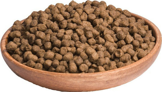 Wellness Core Grain Free Sterilised Dry Food Grain-Free & Gluten-Free for Adult Sterilized Cats with Chicken / Turkey 1.75kg