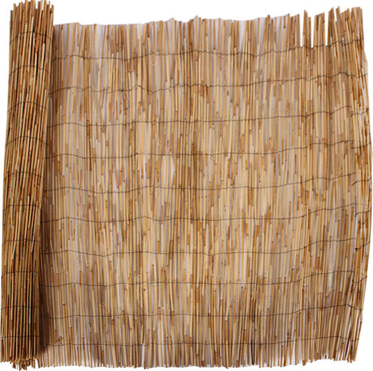 Sidirela Каламоти с Целият Рийд 1x3m