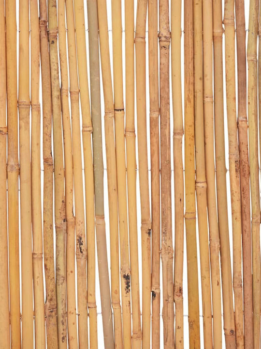 vidaXL Bambuszaun Bambus mit Ganzem Holz 50x500cm