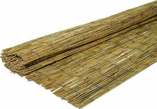 Showood Καλαμωτή με Ολόκληρο Καλάμι 2x3m 30272