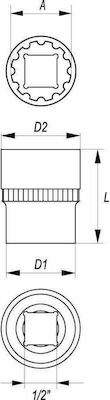 Yato Socket Phillips with Square Drive 1/2" Diameter 19mm