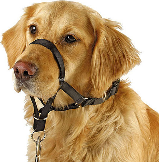 Pawise Dog Muzzle Training Dog Training and Conditioning Muzzle Diameter 24cm 83313