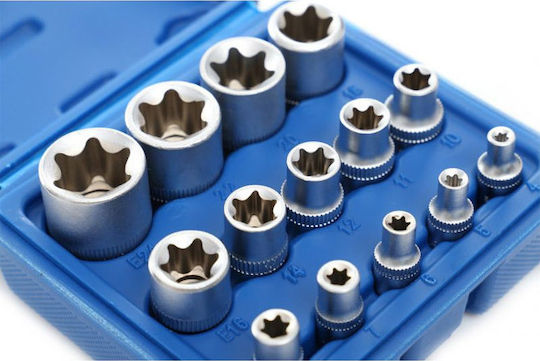 Kraft & Dele Nüsse Torx mit Vierkant-Antrieb 1/2", 1/4", 3/8" Set 14Stück