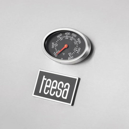 Teesa 3000 Газово Барбекю Решетка 59брx41брсм. с 3 бр 10.8кВт