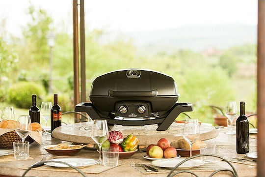 Napoleon TravelQ Portable Gas Grill with 2 pcs 4.1kW
