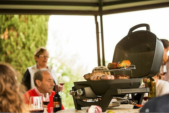 Napoleon TravelQ Portable Gas Grill with 2 pcs 4.1kW