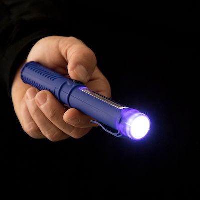 InnovaGoods Flashlight LED V0300946