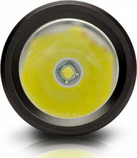 CAT Taschenlampe LED mit maximaler Helligkeit 200lm