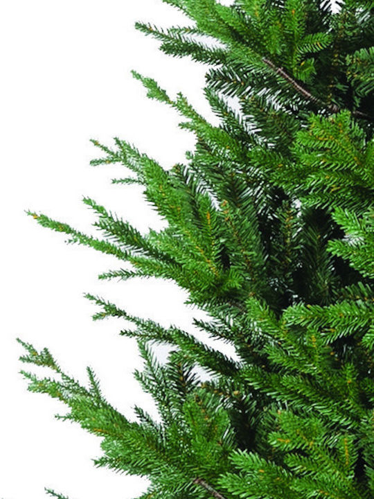 Weihnachtsbaum Argentina 210cm mit 2806 Zweige