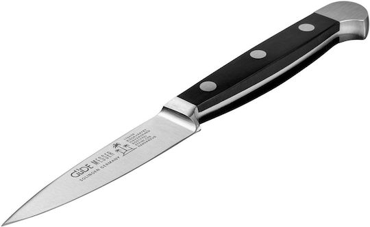 Güde Alpha de curățat 8cm
