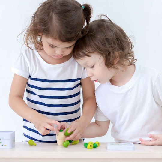 Board Game Κάκτος Ισορροπίας for 1 Player 3+ Years Old (EN) Plan Toys
