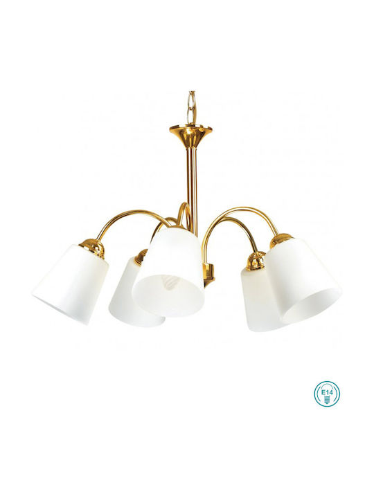 Fan Europe Pendant Chandelier for 5 Bulbs E14, E.14 Gold