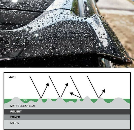 Turtle Wax Течен Вакса за Защита на Автомобилната Каросерия с Карнауба за Зелени Оттенъци 500ml