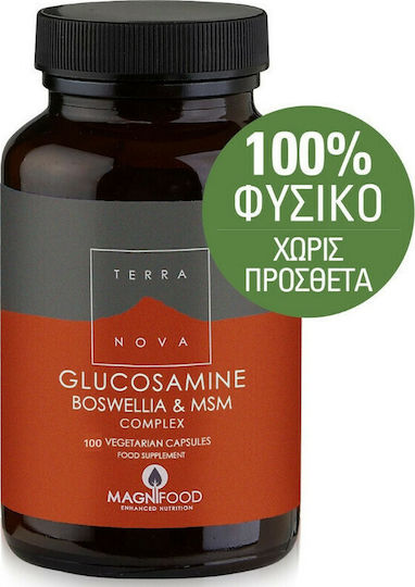 TerraNova Glucosamine Boswellia & MSM Complex Добавка за здравето на ставите и костите 100 вегетариански капсули