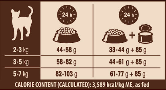 Wellness Core Ocean Dry Food Grain-Free for Adult Cats with Salmon / Ton 1.75kg