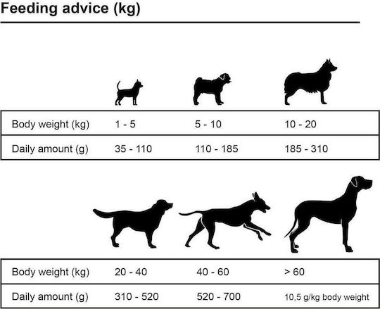 Premium Maxi Adult Essence 15kg Dry Food for Adult Large Breed Dogs with Beef and Chicken