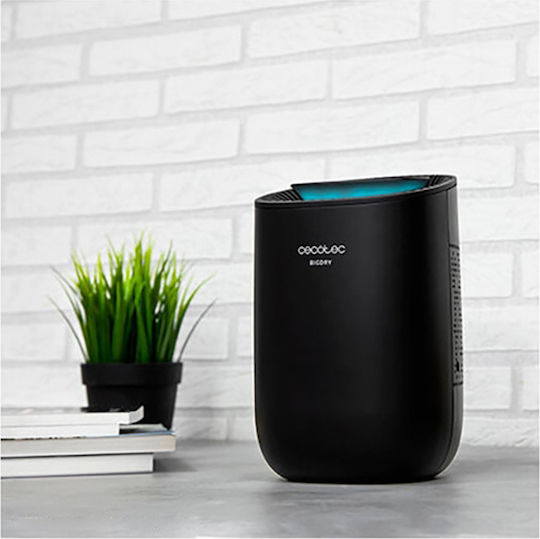 Cecotec BigDry 2000 Light Black Dehumidifier 0.3lt
