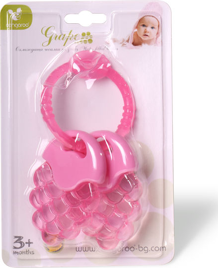 Moni Grape Teething Rattle with Water made of Silicone for 3 m+ Pink