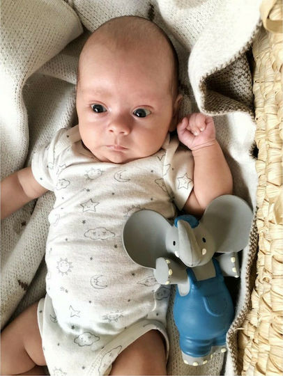 Tikiri Alvin Teething Ring Teething Relief Made of Rubber for 0 m+