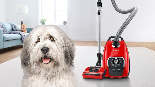 Bosch BGB8PET1 Staubsauger 650W Eingetütet 5Es Rot