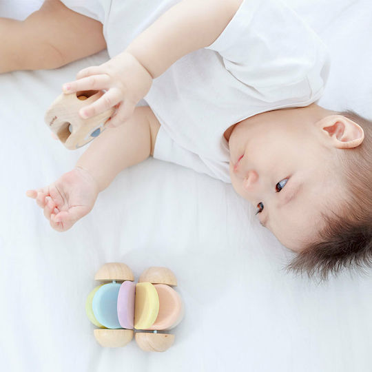Plan Toys Entlang schieben Baby-Auto aus Holz für 0++ Monate