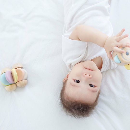Plan Toys Entlang schieben Baby-Auto aus Holz für 0++ Monate