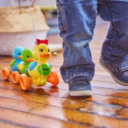 Tomy Συρόμενο Παιχνίδι Toomies Quack Along Ducks για 10+ Μηνών
