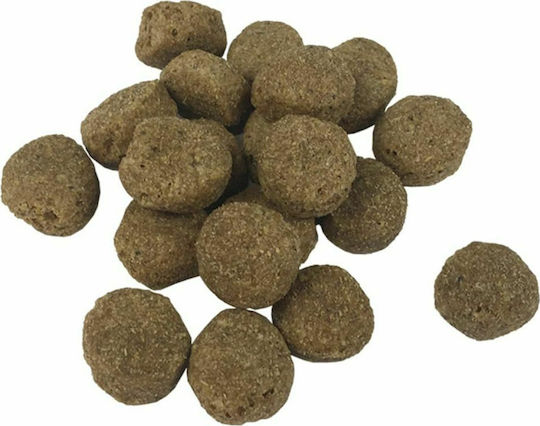 Premium Adult Essence 15kg Dry Food for Adult Dogs with Beef